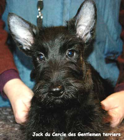 Jack
