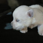 2012-06-14 17_37_10