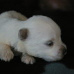 2012-06-14 17_37_13