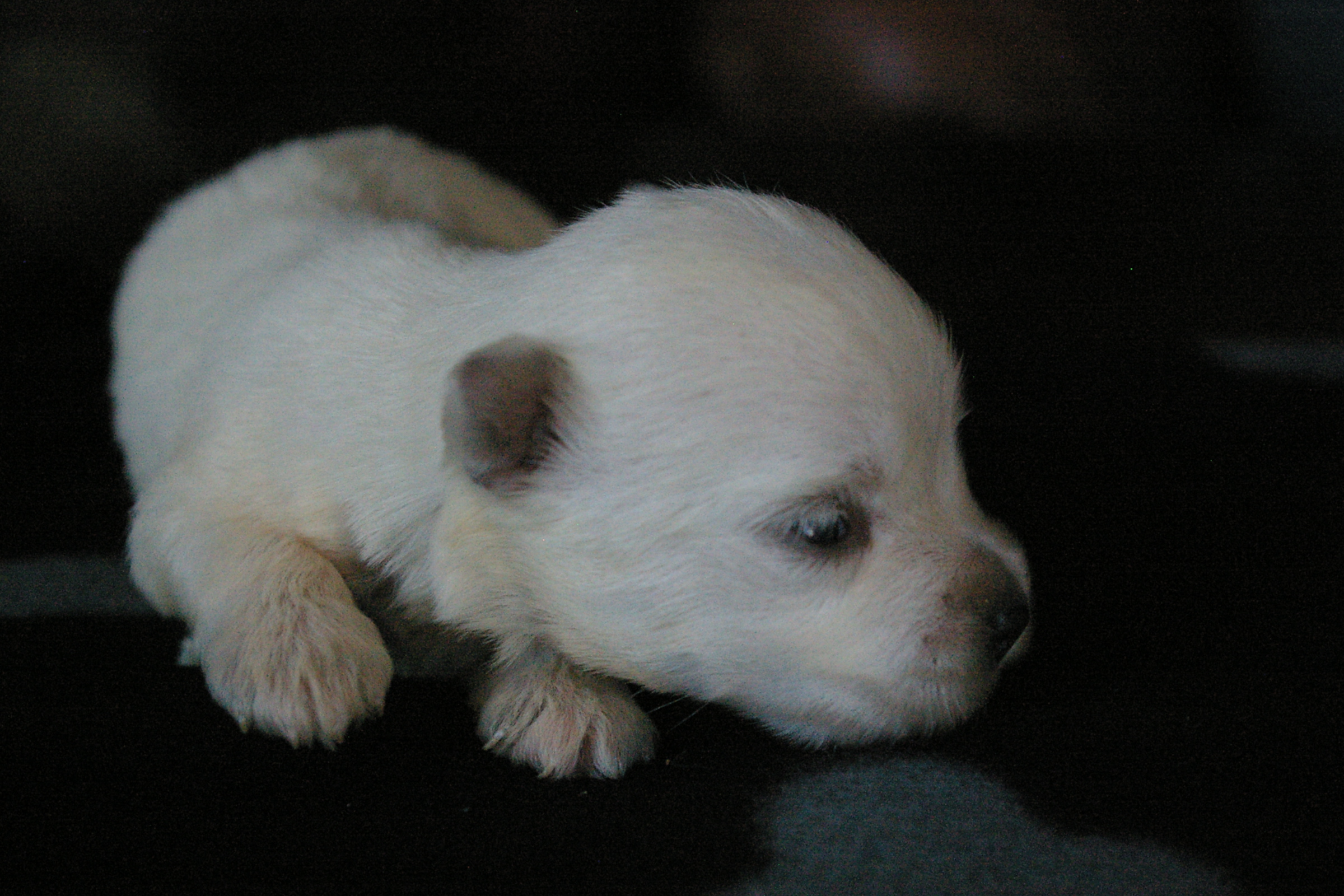 2012-06-14 17_37_13