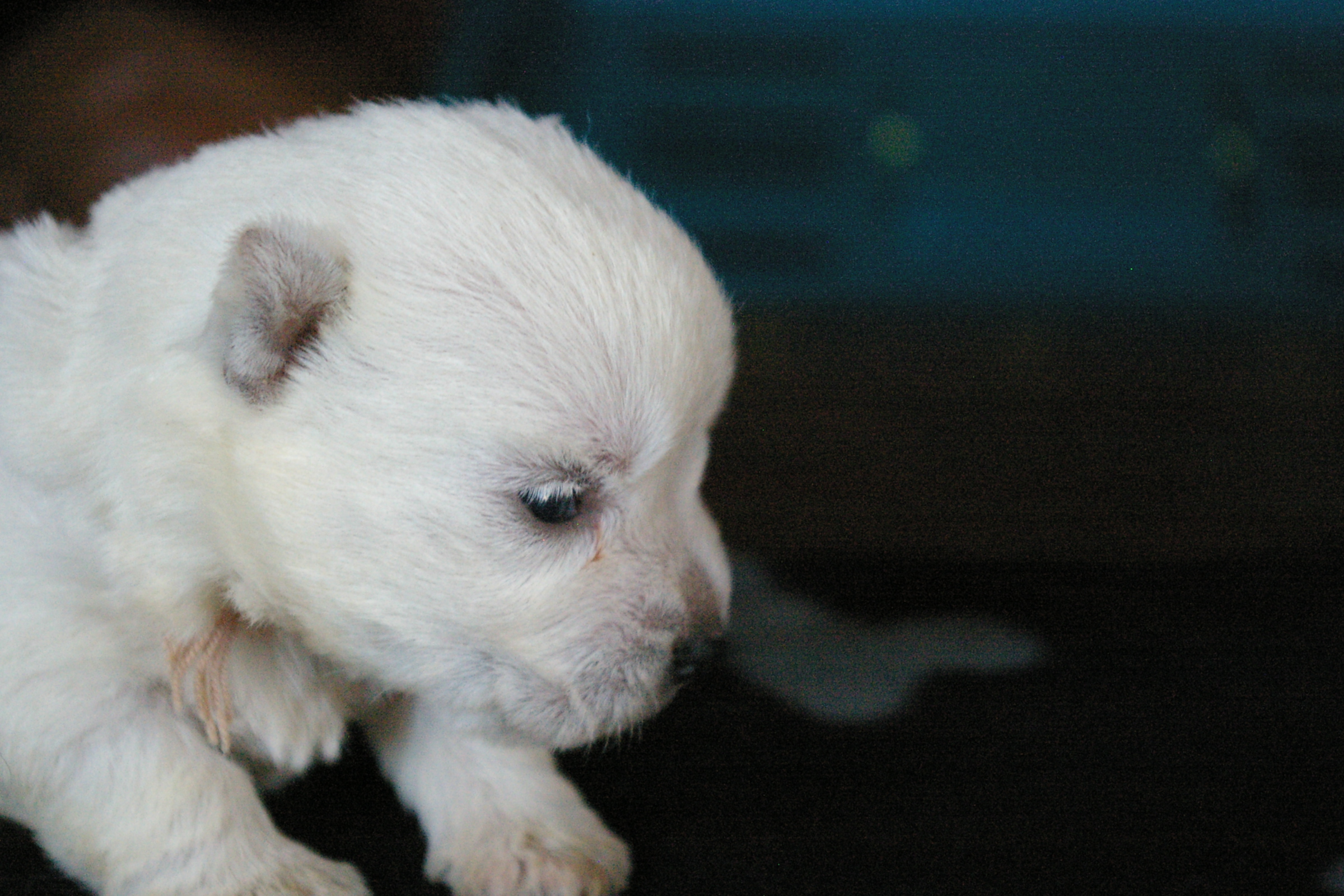 2012-06-14 17_38_37