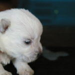 2012-06-14 17_38_37_001