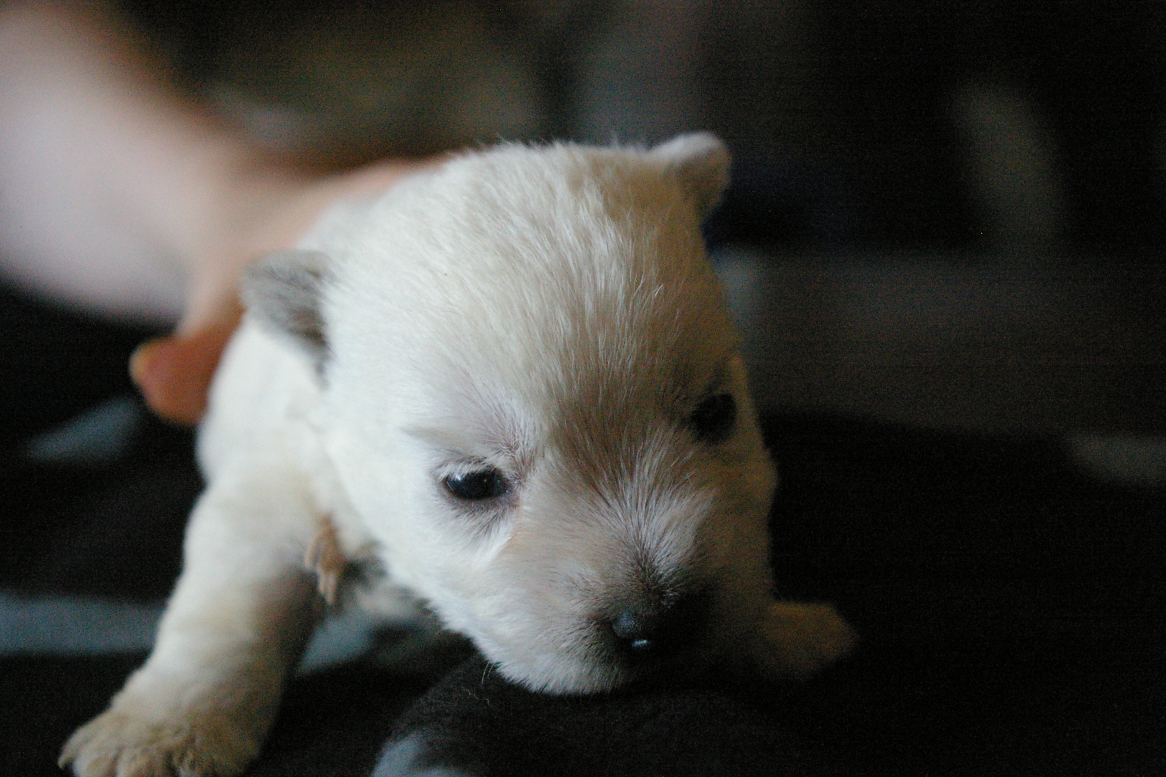2012-06-14 17_39_17-1