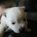 2012-06-14 17_39_17-1_001