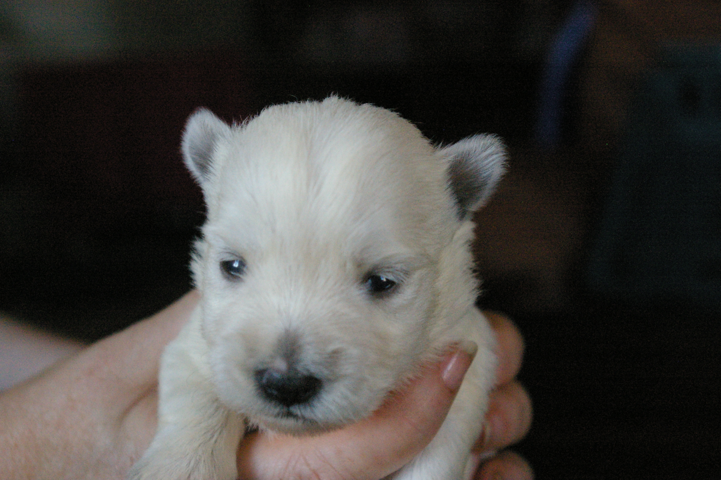 2012-06-14 17_40_23_001