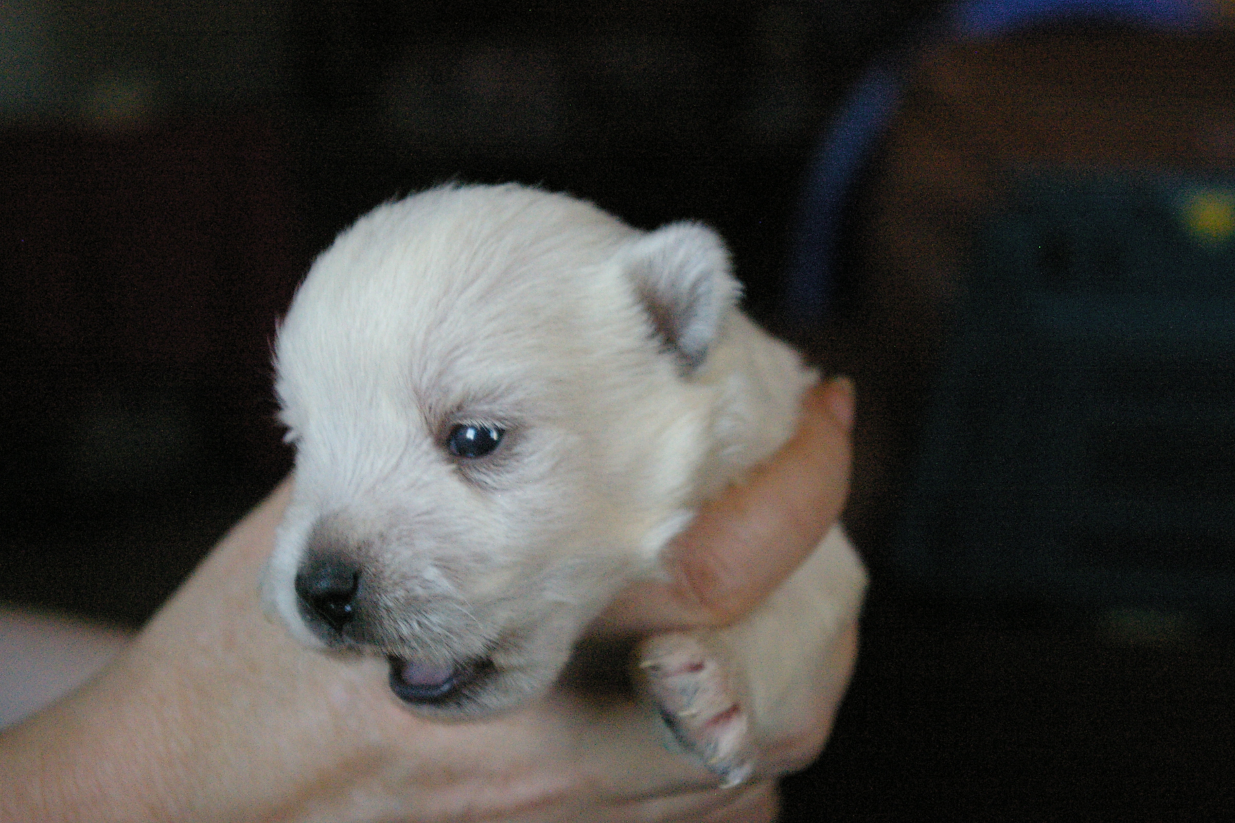 2012-06-14 17_40_45