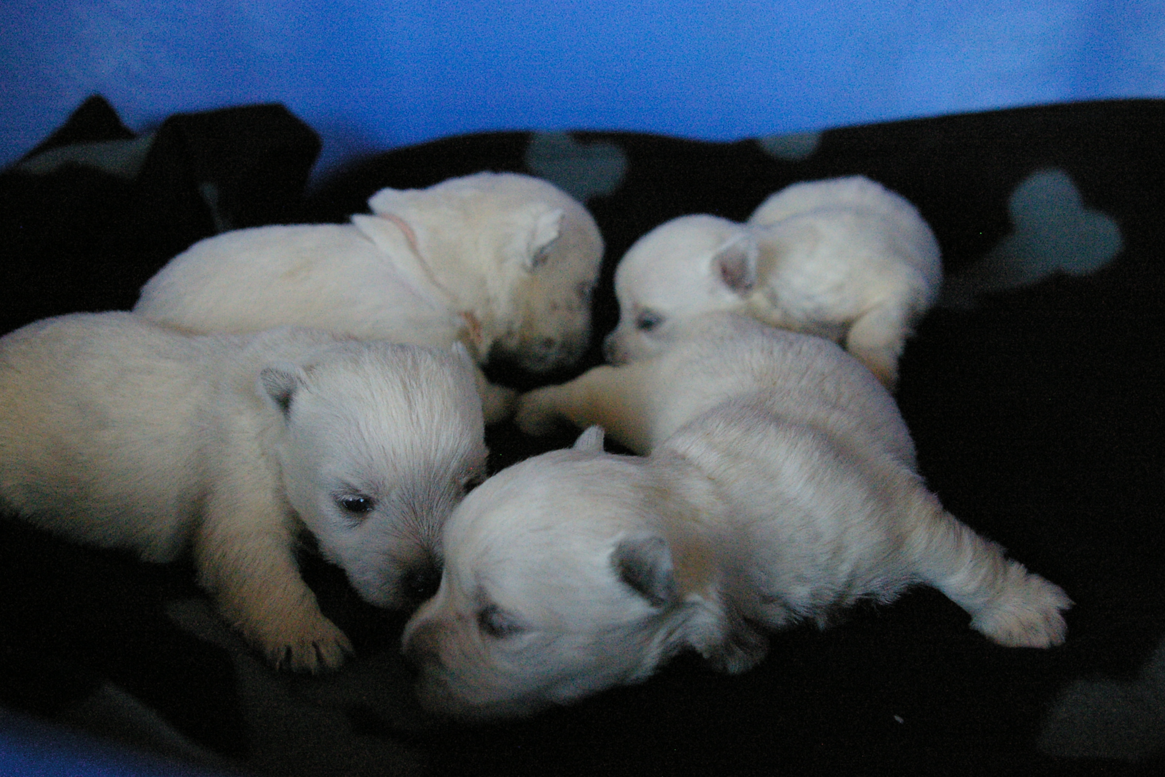 2012-06-14 17_41_47