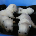 2012-06-14 17_41_49