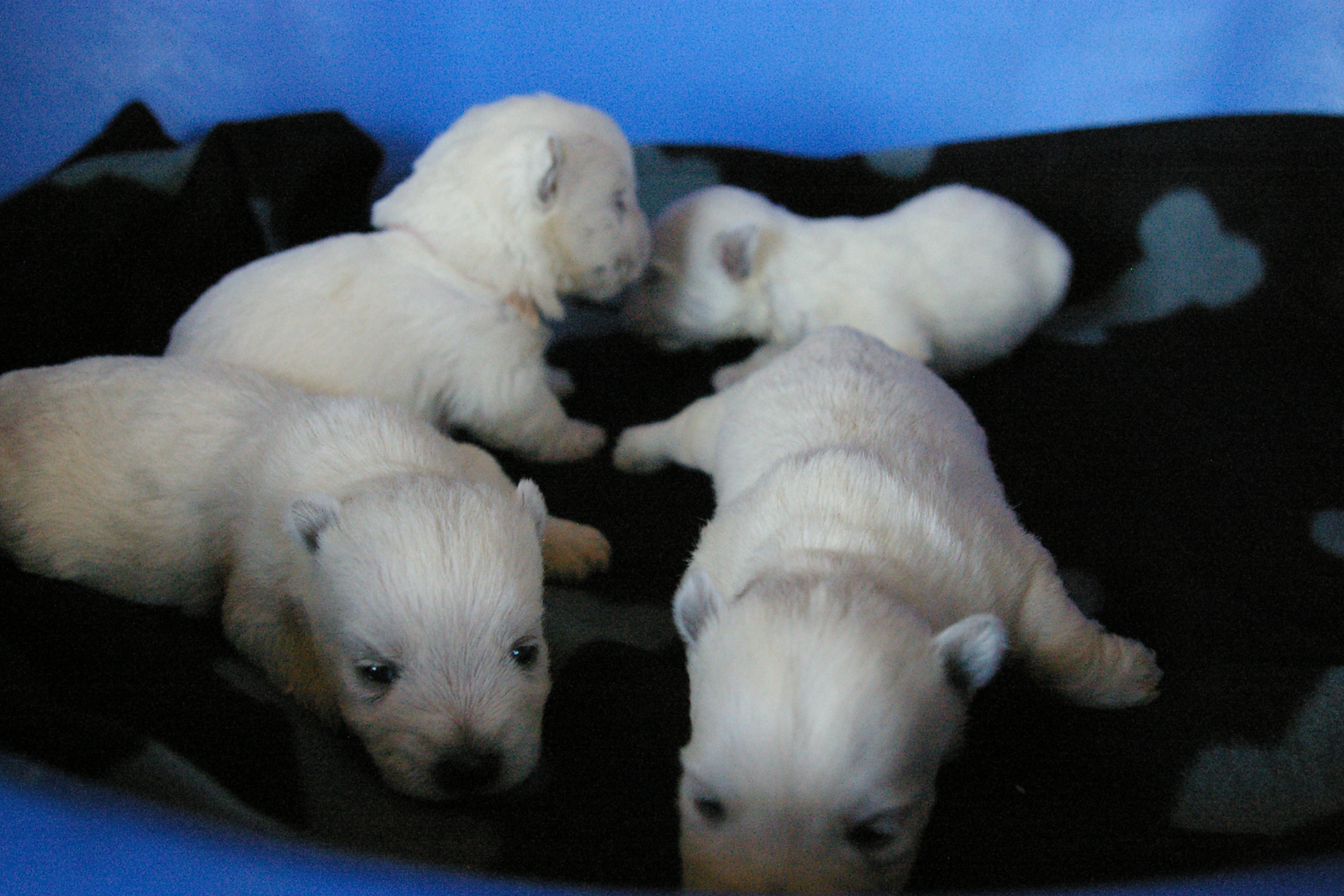 2012-06-14 17_41_49