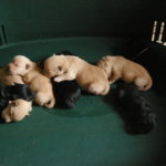 2012-09-18 12_05_01