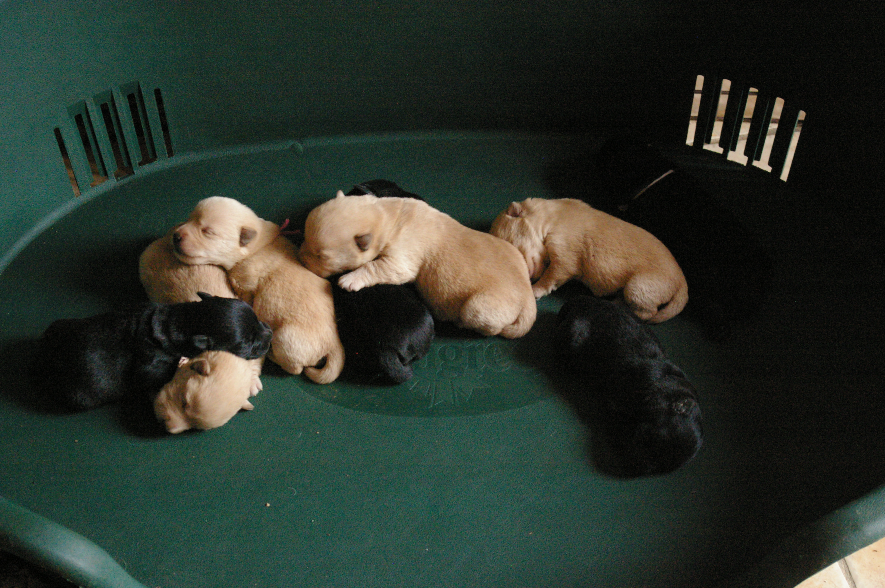 2012-09-18 12_05_01