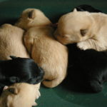 2012-09-18 12_05_19