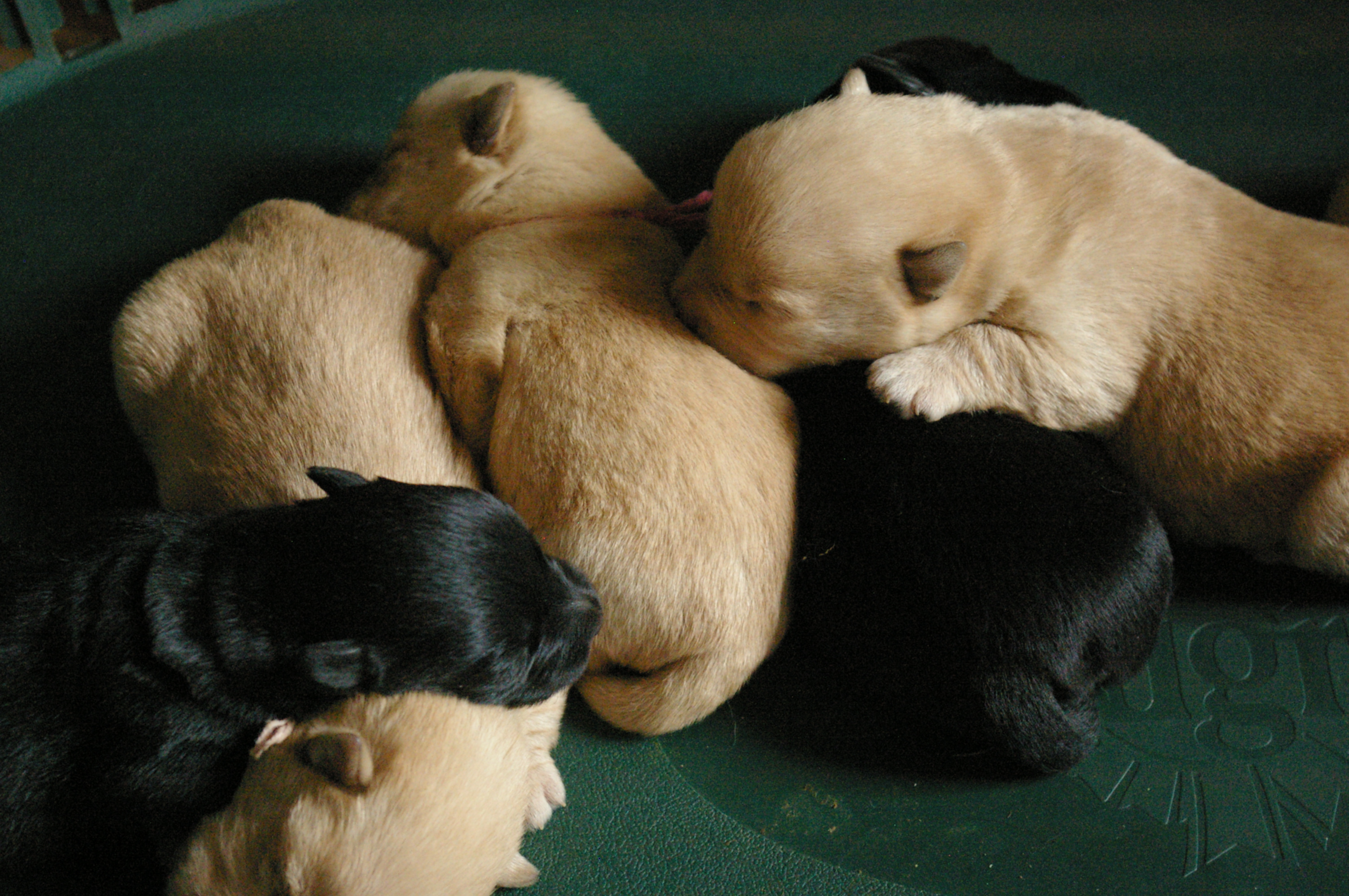 2012-09-18 12_05_19
