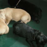 2012-09-18 12_05_27