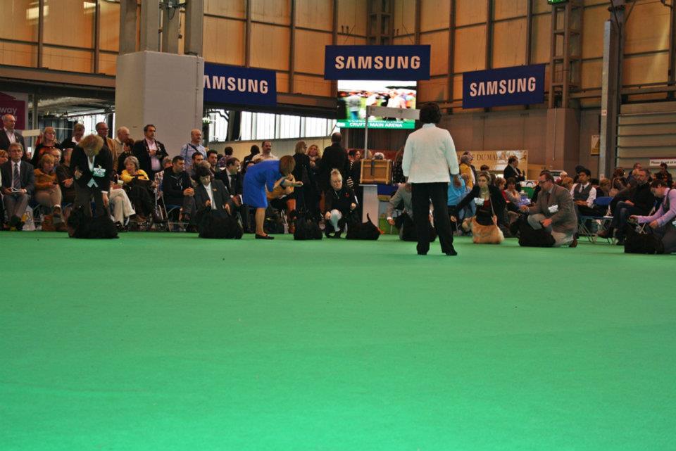 430239_384910341538748_100000593571732_1282421_1365158093_n