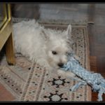 _BD30585-border_tn