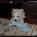 _BD30589-border_tn