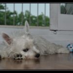 _BD30612-border_tn