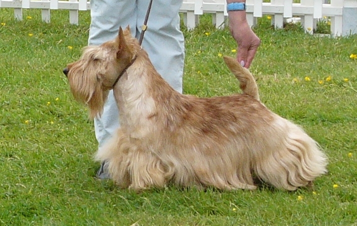 DSC03785