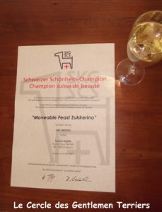 Diplome-Zukk