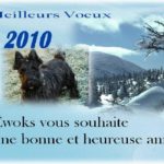 Ewoksmodif_001