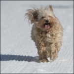 Flore-2ans 13