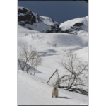 Flore-2ans 14