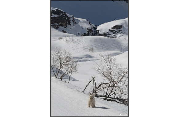 Flore-2ans 14