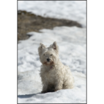 Flore-2ans 15