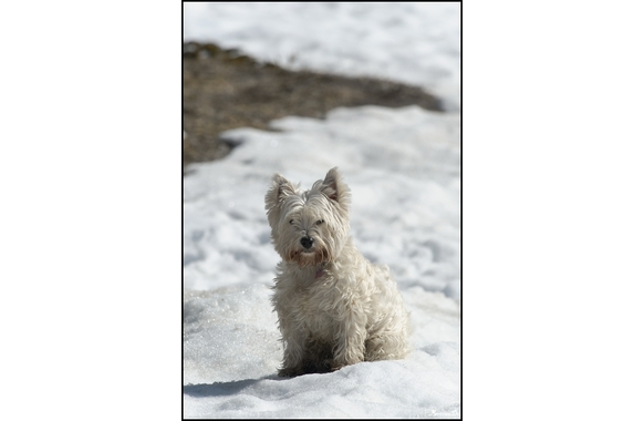 Flore-2ans 15