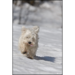 Flore-2ans