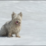 Flore-2ans 16