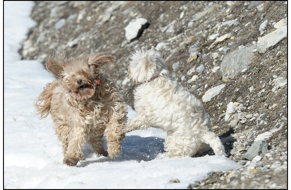 Flore-2ans 17