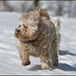 Flore-2ans 5