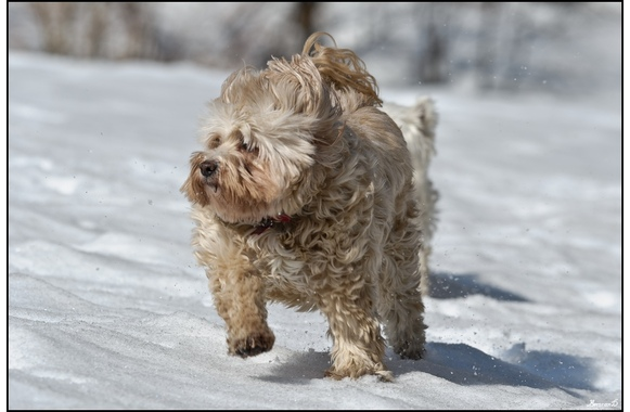 Flore-2ans 5
