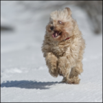 Flore-2ans 8