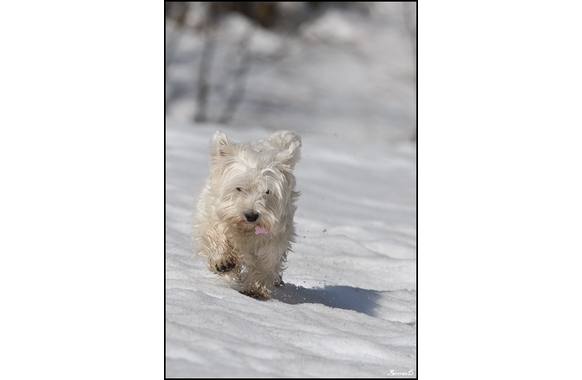 Flore-2ans
