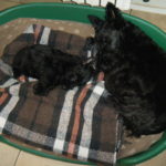 Ga__a et Bonnie2