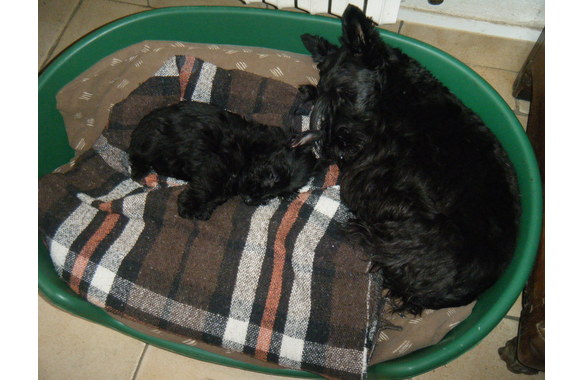 Ga__a et Bonnie2