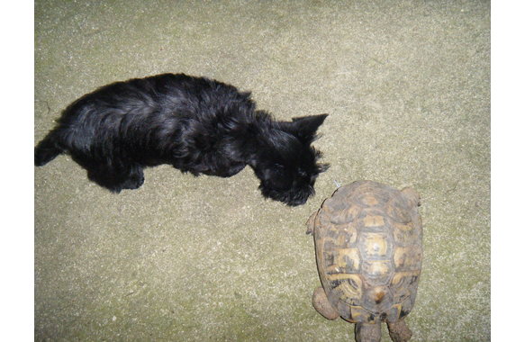 Ga__a et Caroline
