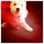 George 8 mois _2_