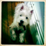 George 8 mois _3_