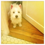 George 8 mois _4_