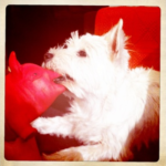 George 8 mois _5_