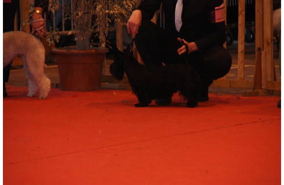Grace-abbeville-4_03_12 _8_