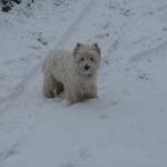 Harold - 9 mois2jpg