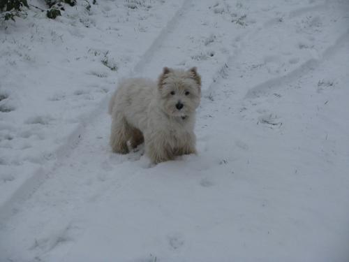 Harold - 9 mois2jpg