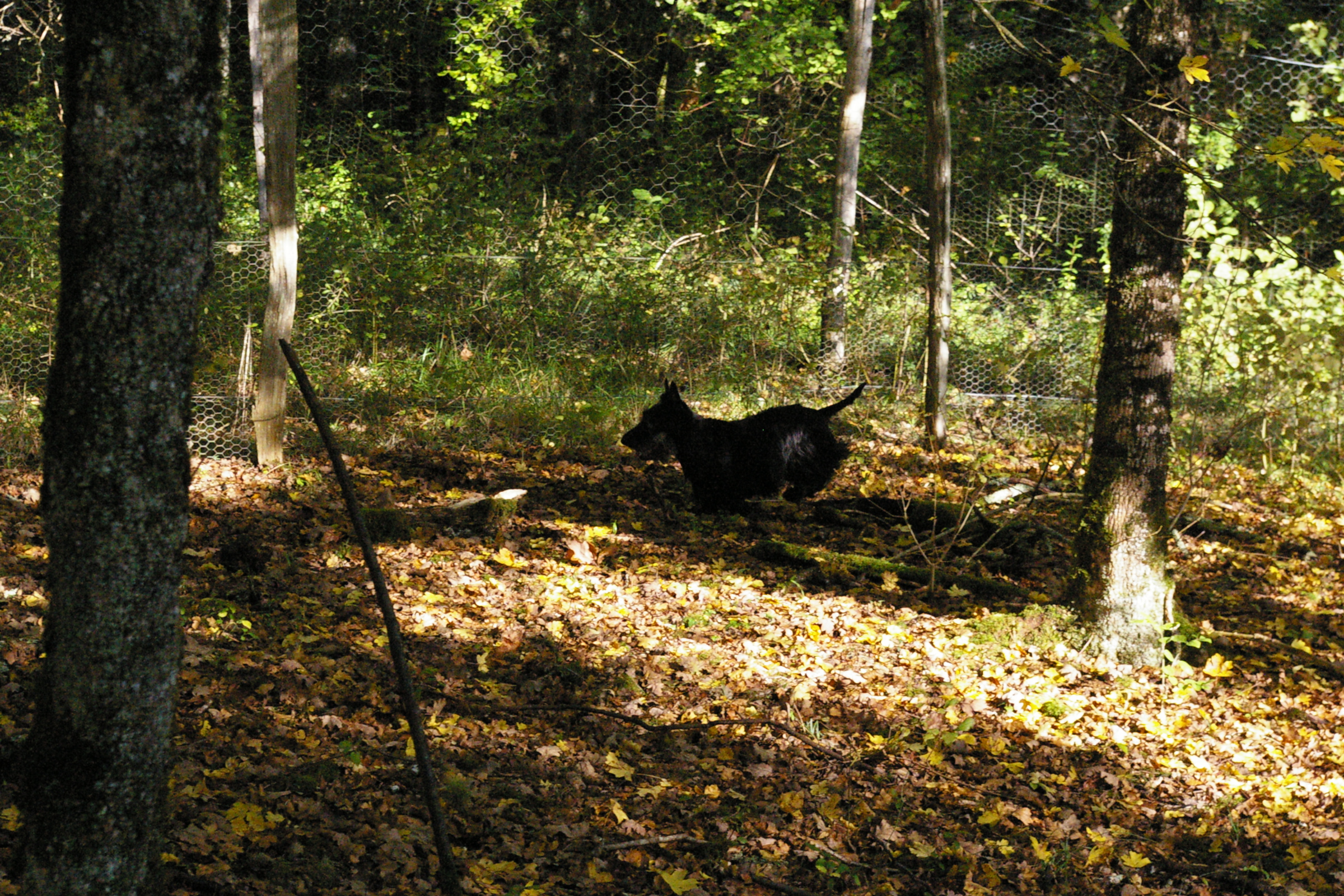 IMGP0230