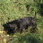 IMGP0234