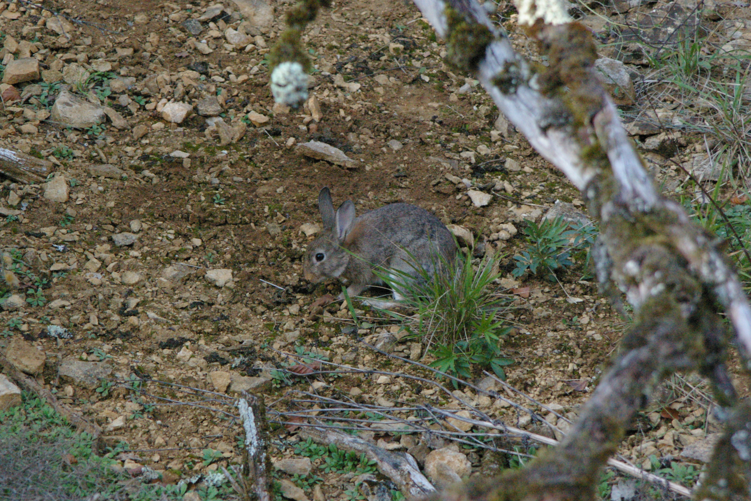 IMGP0239